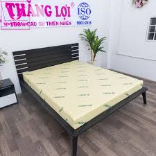 nệm cao su non thắng lợi 1m2 x 2m x 20cm
