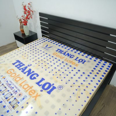 Nệm Cao Su Gold Latex Thắng Lợi 1m6 x 2m x 10cm