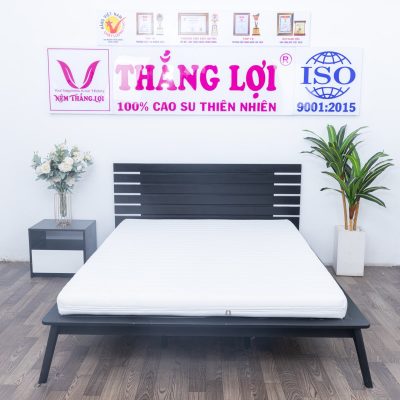 Nệm Foam Cao Cấp Massage Thắng Lợi 1m4 x 2m x 17cm